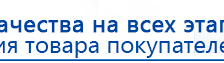 Дэнас Орто купить в Элисте, Аппараты Дэнас купить в Элисте, Дэнас официальный сайт denasolm.ru